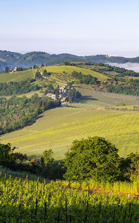 Villa Tenuta Casenuove: Scenic View