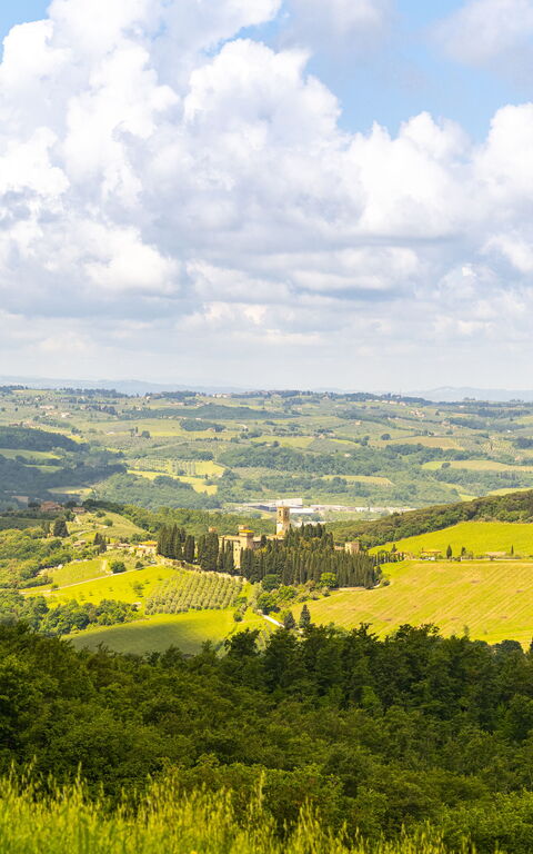 Villa Tenuta Casenuove: Scenic View