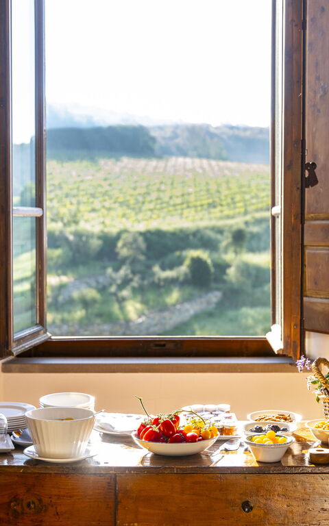 Villa Tenuta Casenuove: Other Room