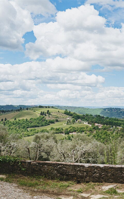 Podere Lupinati: Scenic View
