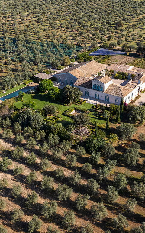 Domus Olivae: Scenic View