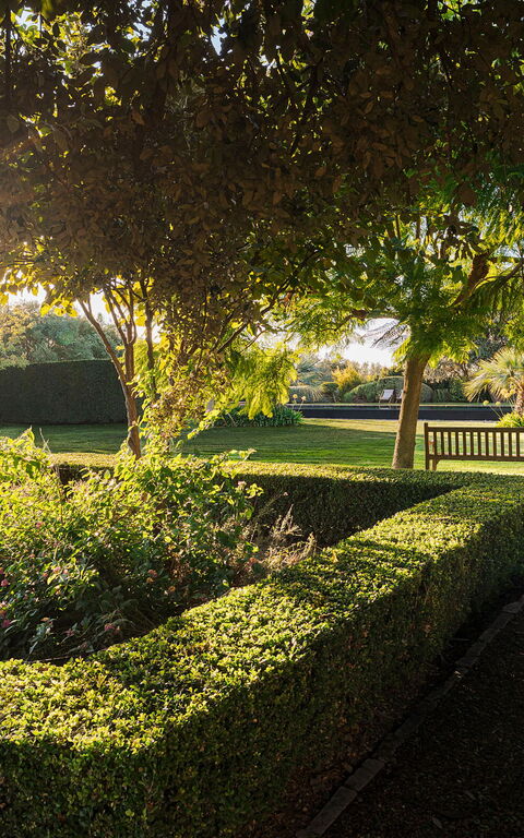 Domus Olivae: Building Exterior, Garden, Outdoor