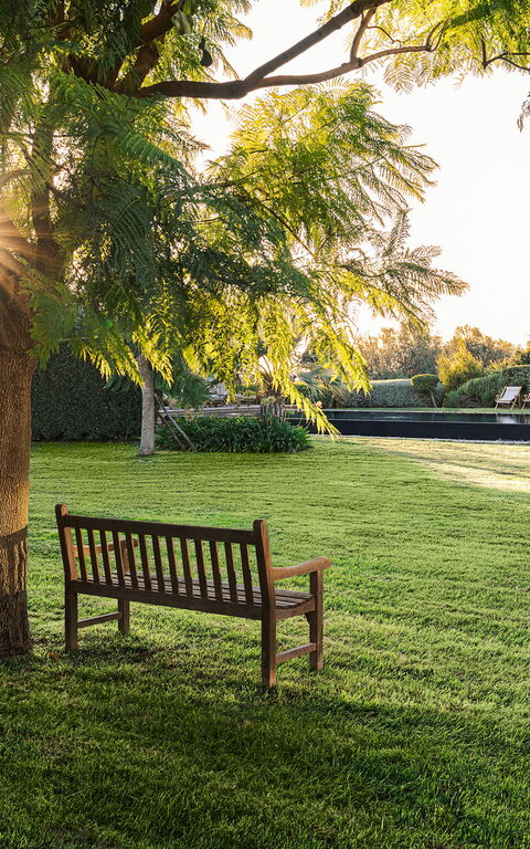 Domus Olivae: Building Exterior, Garden, Outdoor