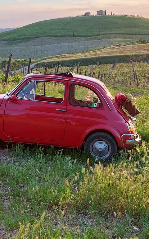 Podere Peteglia: Scenic View