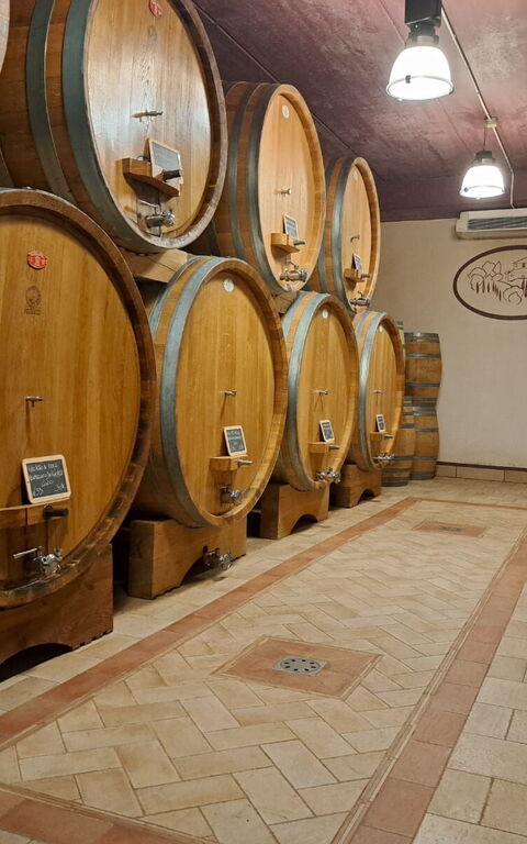 Podere Peteglia: Activities