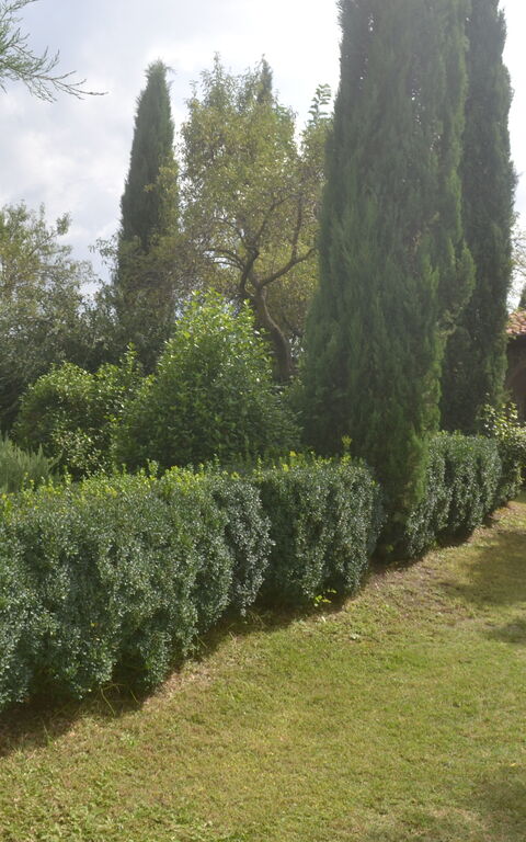 Podere Peteglia: Building Exterior, Garden, Outdoor