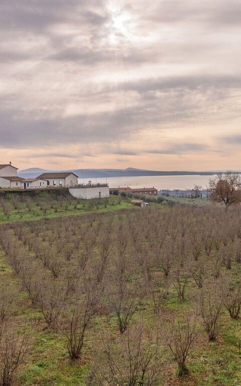 Tenuta Poggio Guiano: Scenic View