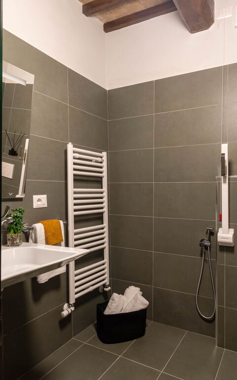 Tenuta Poggio Guiano: Bathroom