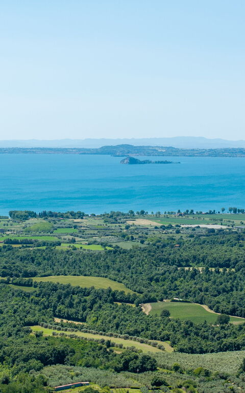 Tenuta Poggio Guiano: Scenic View