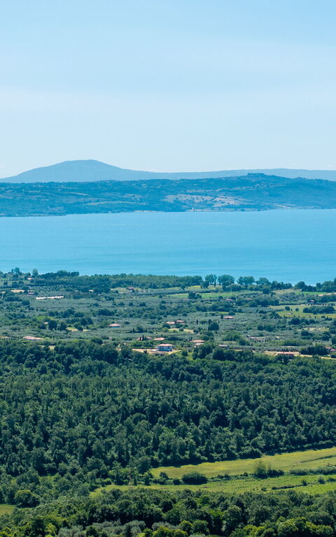 Tenuta Poggio Guiano: Scenic View