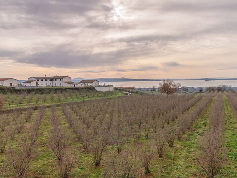 Tenuta Poggio Guiano