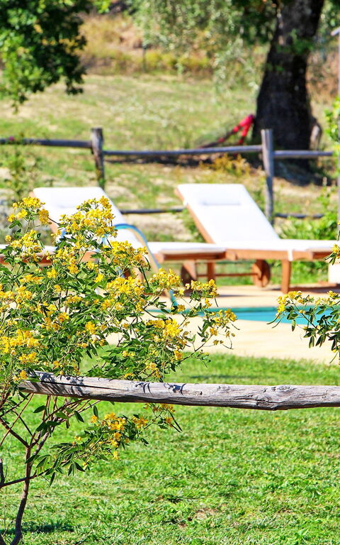 Villa Civita: Garden