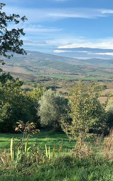 Podere i Prati: Scenic View
