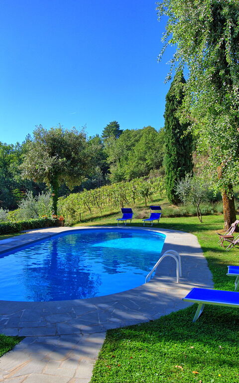 Villa Ulivacci: Garden, Pool