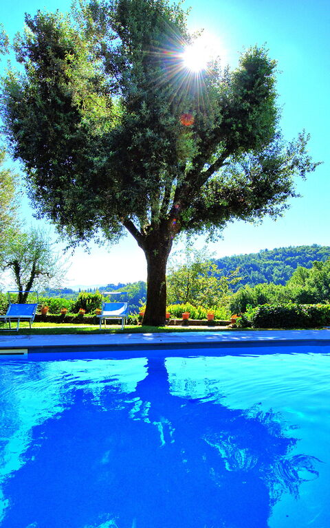 Villa Ulivacci: Pool