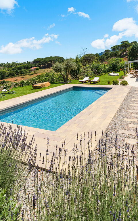 Casita: Building Exterior, Garden, Outdoor, Pool