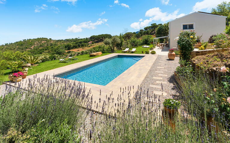 Casita: Building Exterior, Garden, Outdoor, Pool