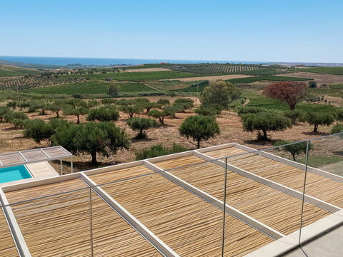 Terra di Bertolino