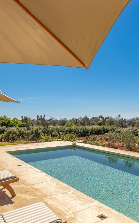 Villa del Cedro: Building Exterior, Outdoor, Pool