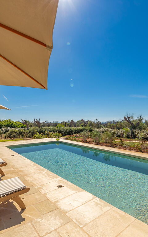 Villa del Cedro: Building Exterior, Outdoor, Pool