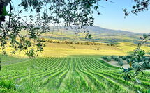 Photo submitted by guest of Villa Chiugi