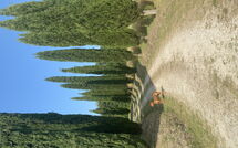 Photo submitted by guest of Villa Gualchiere