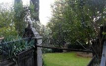 Photo submitted by guest of Montegufoni