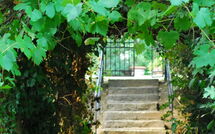 Photo submitted by guest of Villa Elisa