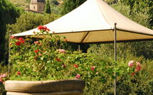 Photo submitted by guest of Villa Elisa