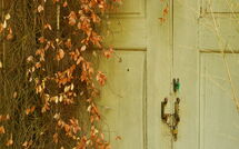 Photo submitted by guest of Villa Elisa