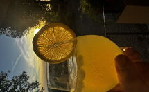 Photo submitted by guest of San Carlo