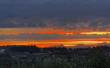 Photo submitted by guest of San Carlo