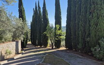 Photo submitted by guest of Villa Uccellaia