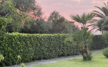 Photo submitted by guest of Cala Marina