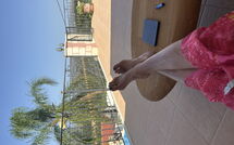 Photo submitted by guest of Villa Kois