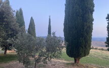 Photo submitted by guest of Casale Santa Francesca