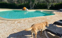 Photo submitted by guest of Lamia Santo Arcangelo