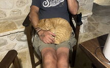 Photo submitted by guest of Villa Armonia