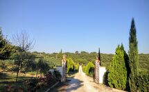 Photo submitted by guest of Podere Romina - Bandita Apartment