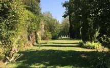 Photo submitted by guest of Montegufoni