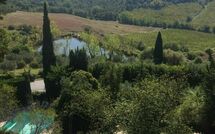 Photo submitted by guest of Montegufoni