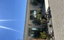 Photo submitted by guest of Villa Petite Afrique