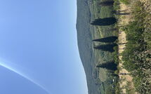 Photo submitted by guest of Villa Renina