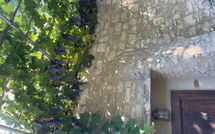 Photo submitted by guest of Villa Lonciano - 2026