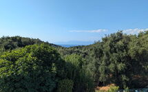Photo submitted by guest of Villa di Giovanni
