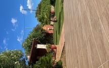 Photo submitted by guest of Villa Antina