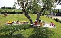 Photo submitted by guest of Podere Romina - Belvedere Apartment