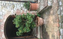 Photo submitted by guest of La Ruota