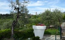 Photo submitted by guest of Poggiluglio