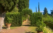 Photo submitted by guest of Montegufoni